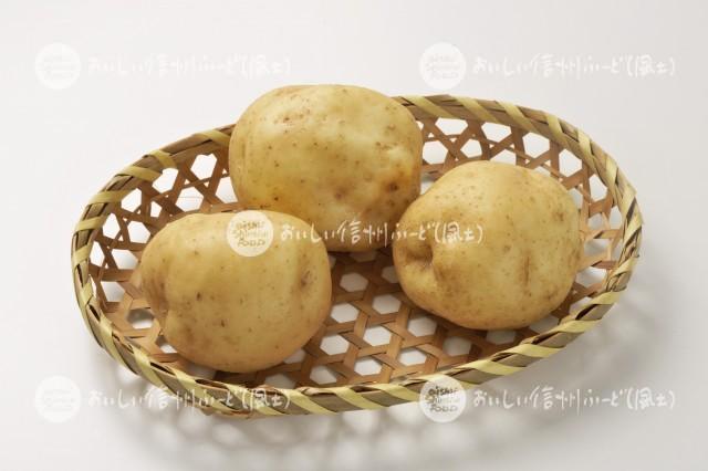 白土馬鈴薯（スタジオ入れ物）