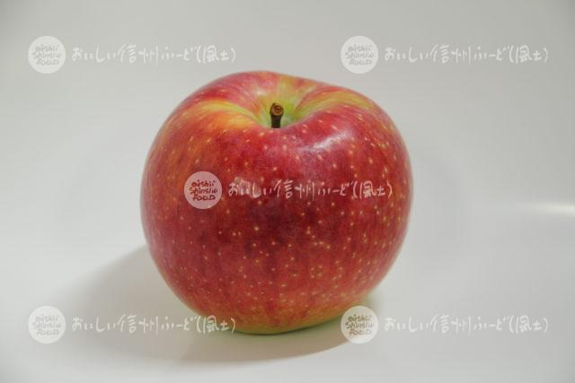 りんご【シナノリップ】（スタジオ単体）