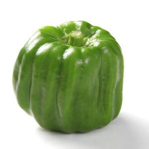 Green Bell Pepper - Safeway