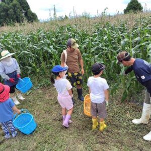 「夏休み！信濃町で旬のとうもろこし収穫体験＆ジェラートを食べよう」を開催しました！